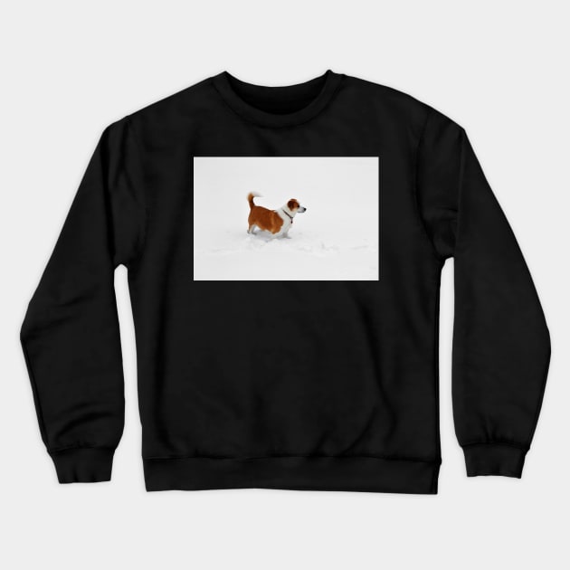 Interrupting the Winter Whiteness Crewneck Sweatshirt by bgaynor